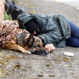 Send Critical Supplies to Veterans & Pets Experiencing Homelessness Discount