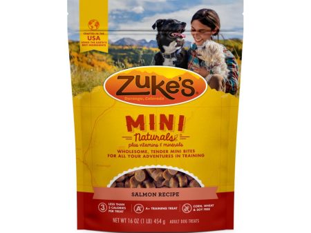 Zukes Salmon Mini Naturals Dog Treats Discount