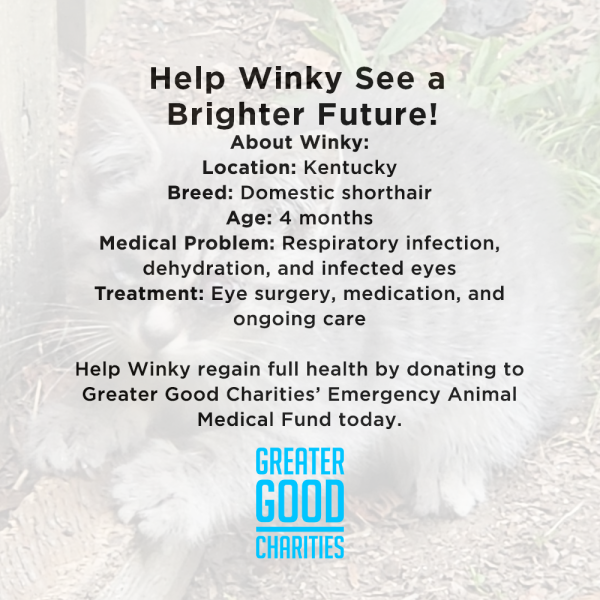 Funded - Help Winky See a Brighter Future Cheap