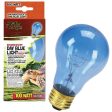 Zilla Day Blue Light Bulb Online Hot Sale