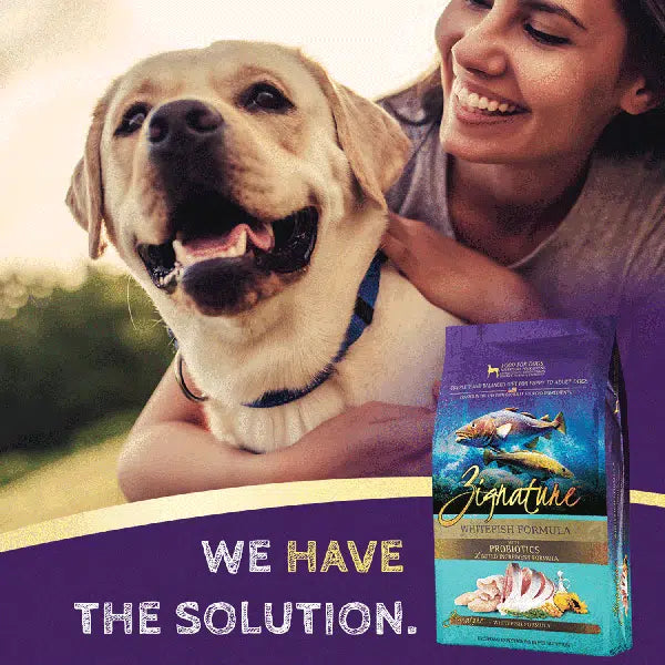 Zignature Limited Ingredient Whitefish Formula Dry Dog Food Online now