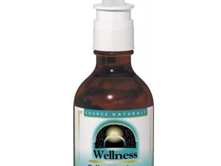 Source Naturals, Wellness Colloidal Silver Nasal Spray 10 ppm, 1 oz Discount