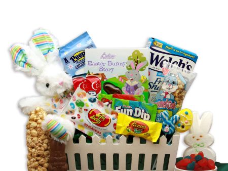 Springtime Fun Easter Gift Basket Hot on Sale