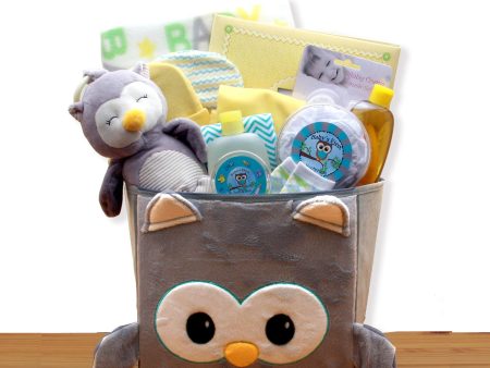 A Little Hoot New Baby Gift Basket Cheap