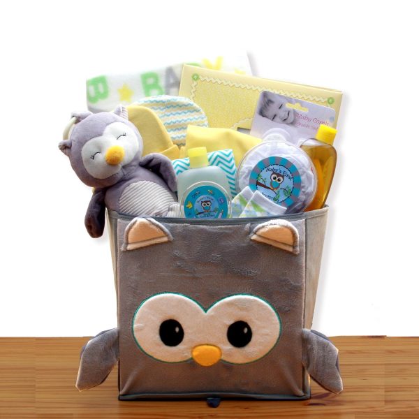 A Little Hoot New Baby Gift Basket Cheap