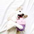 ZippyPaws Pink Cupcake Plush Dog Toy Sale