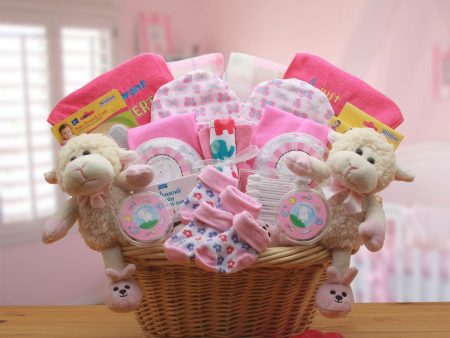 Double Delight Twins New Babies Gift Basket - Pink Online Sale