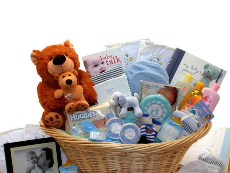 Deluxe Welcome Home Precious Baby Basket-Blue For Sale