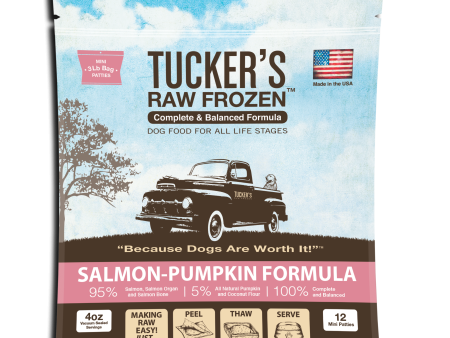 Tucker s Salmon-Pumpkin Raw Frozen Dog Food For Discount