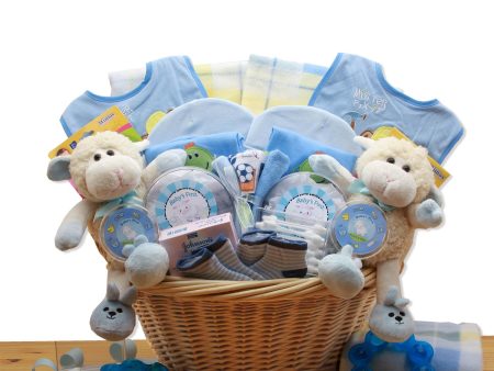 Double Delight  Twins New Baby Gift Basket - Blue Supply