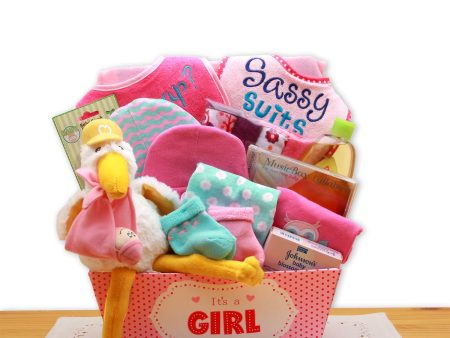 A Special Delivery  New Baby Gift Basket- Pink Fashion