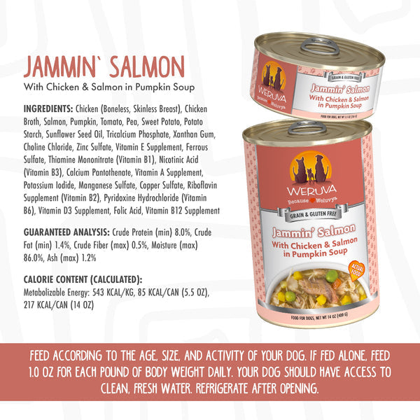 Weruva Jammin’ Salmon with Chicken & Salmon in Pumpkin Soup Dog Food Discount